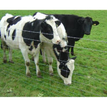 Malla de alambre atornillado galvanizado caliente en la cerca del campo